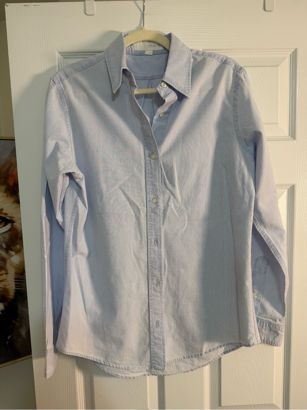Zara Light Blue Women's Button-Down Shirt
